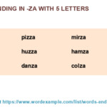 5 Letter Words Starting With Zia